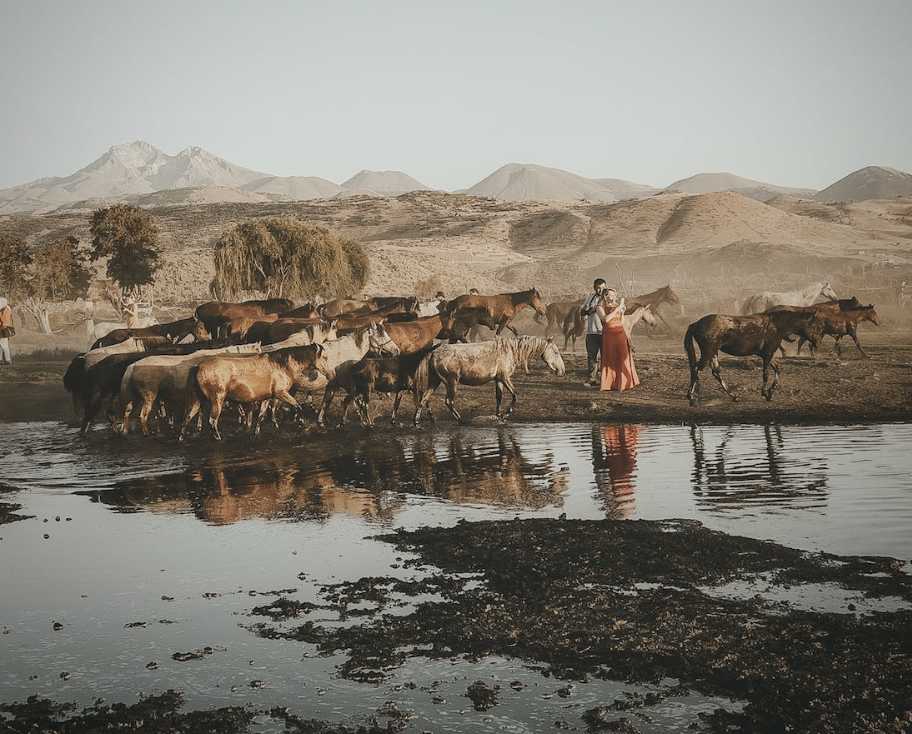 婚纱照价格？婚纱照一般要多少钱