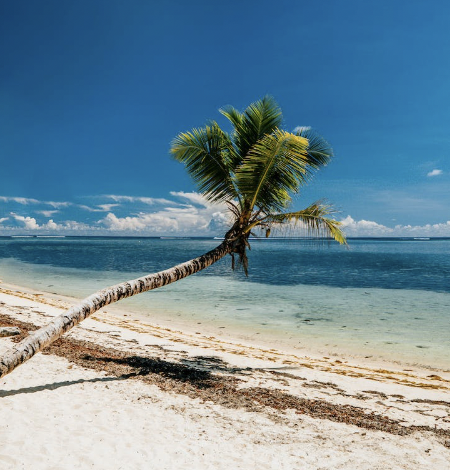 1699332753706255.png image.png