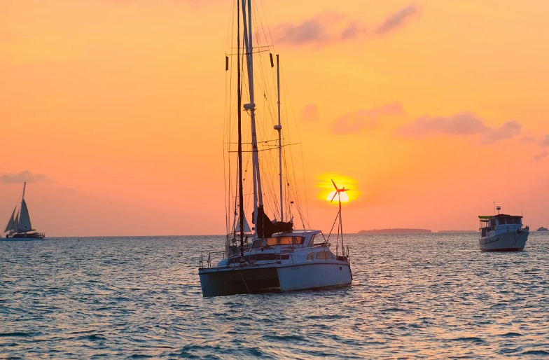 1720086918120279.png 619aae69bce7b4b99bbe9069e0a1f5d.png